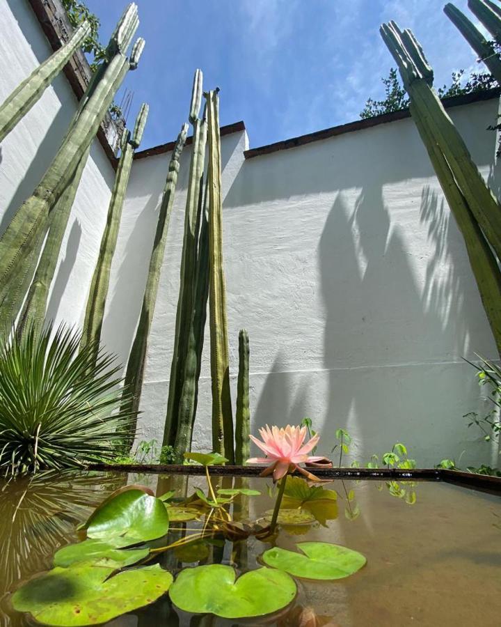 Casa Mayo B&B Oaxaca Εξωτερικό φωτογραφία