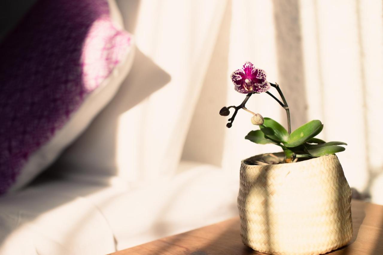 Casa Mayo B&B Oaxaca Εξωτερικό φωτογραφία