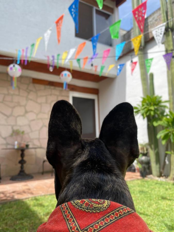 Casa Mayo B&B Oaxaca Εξωτερικό φωτογραφία